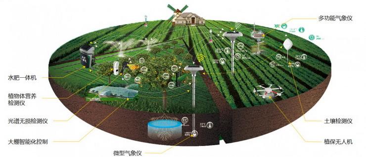 和而泰智慧农业邓才良:农产品品质分级与农业标准化种植